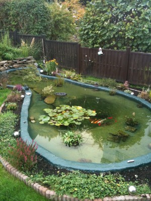 Teich Glasfaser bef&uuml;llt